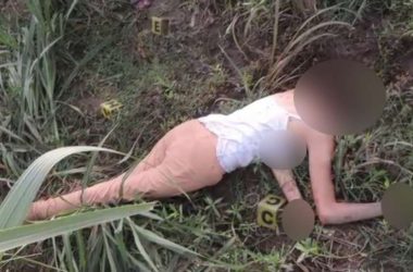 UP Horror: Woman's headless body dumped in Bulandshahr; chopped hands and head found 30km away