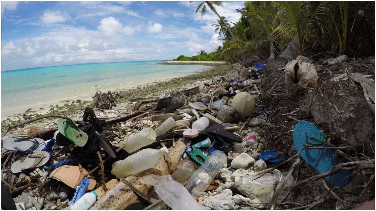 414 mn pieces of plastic found on remote islands in Indian Ocean