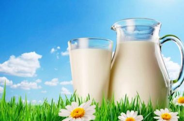 World Milk Day 2019: Healthy and delicious ingredients to add to your milk