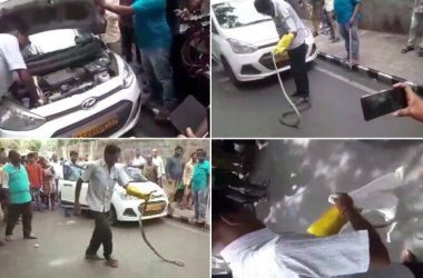 Andhra Pradesh: Eight feet long snake pulled out of car engine in Tirumala, video goes viral!