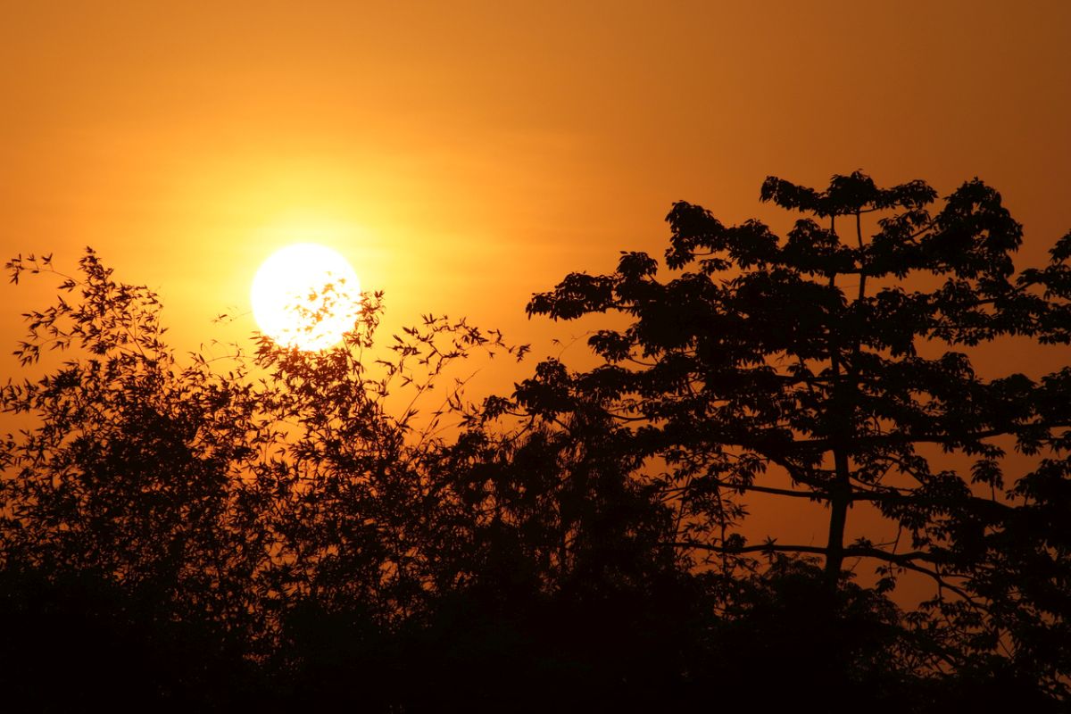 Summer 2019 (Northern Hemisphere), June 21: What is a Summer Solstice? All you need to know