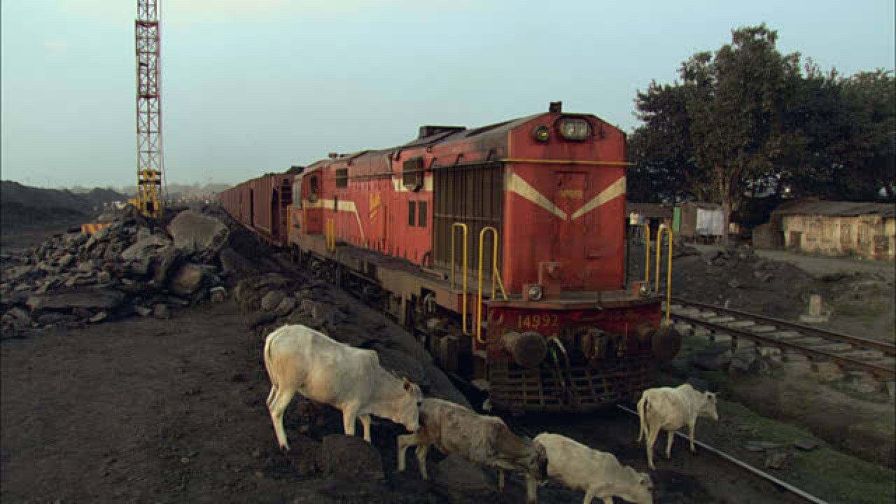 Gujarat: Gau rakshak beats loco pilot black and blue after train rams into cow