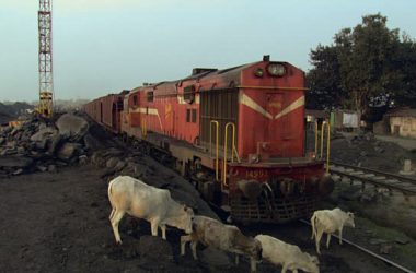Gujarat: Gau rakshak beats loco pilot black and blue after train rams into cow