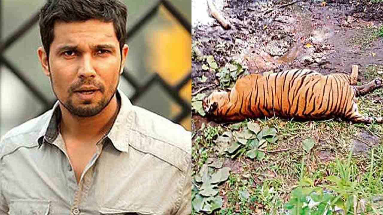 After tigress beaten to death in UP, actor Randeep Hooda urges CM Yogi Adityanath to take strong action