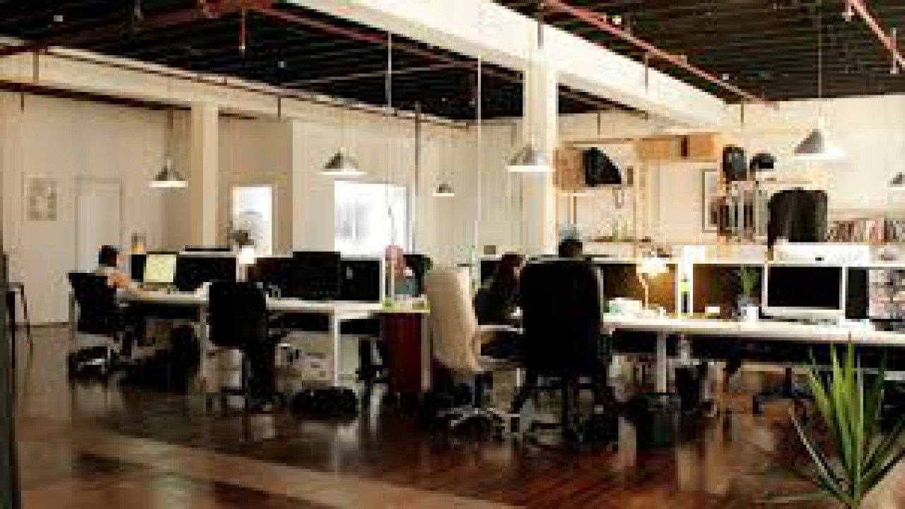 How to make co-working environment work?