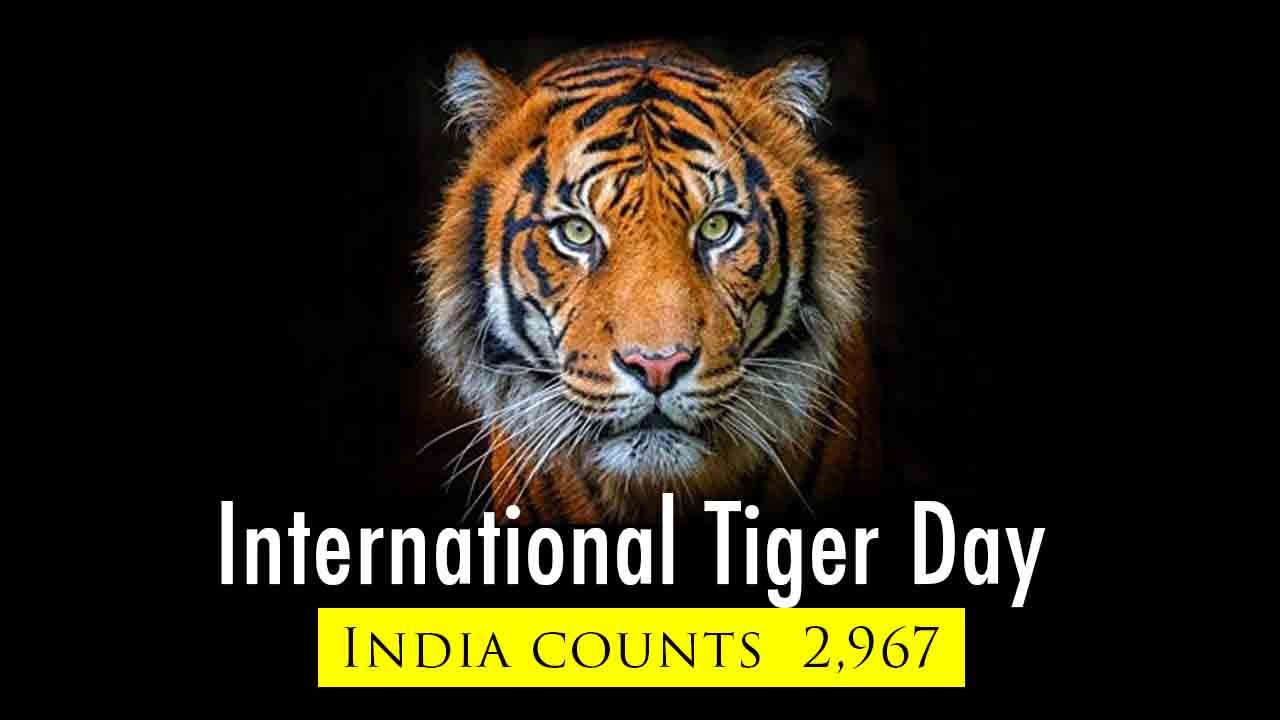 International Tiger Day 2019: PM Modi releases Tiger census, says "India one of the safest habitats for big cats"