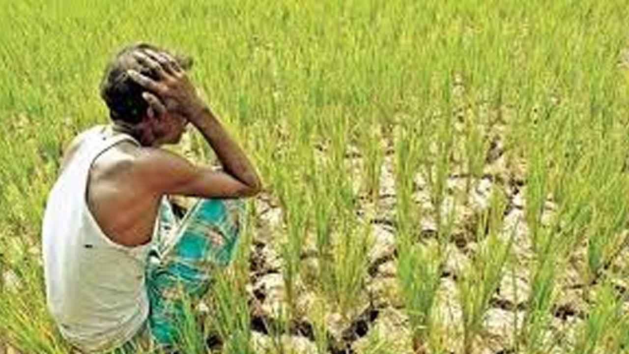 Farmer attempts suicide over low land compensation