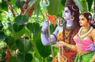 Hariyali Teej 2019: Puja timings, rituals and resemblance to Greek mythology
