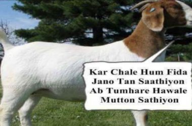 Eid-al-Adha Mubarak: Memes & funny jokes to share on Bakrid