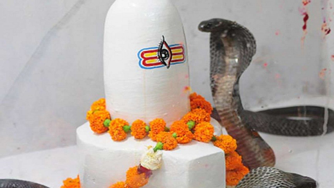 Happy Nag Panchami 2020: Wishes, quotes and messages to share with your  friends and family