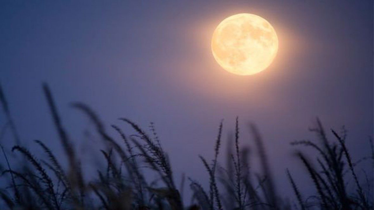 Harvest Moon 2019: Everything about full moon which will occur on Friday the 13th