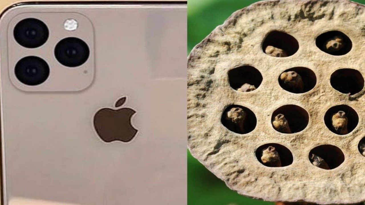 Here’s why Apple's new iPhone 11 is giving people Trypophobia
