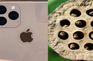Here’s why Apple's new iPhone 11 is giving people Trypophobia