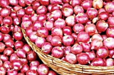 Onion prices shot up to a 21-month high at Lasalgaon in Maharashtra