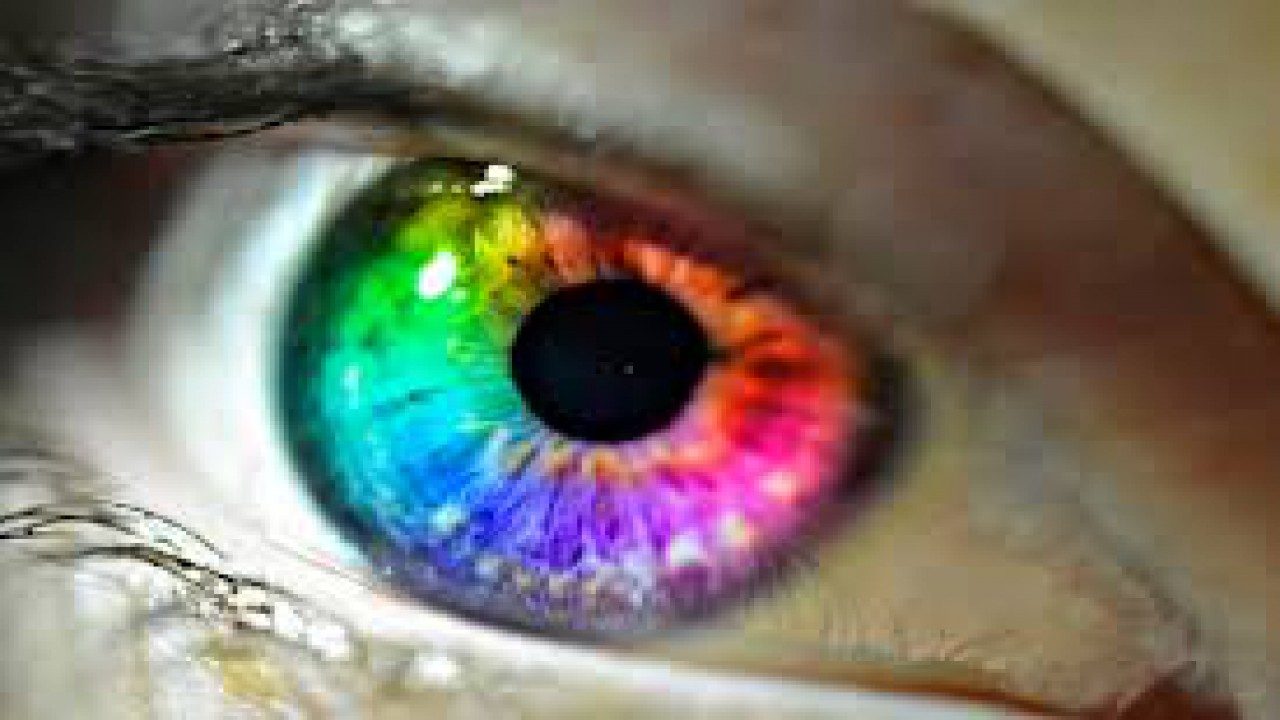 Color Blindness Awareness Day 2019: Date, significance of the day dedicated to the condition
