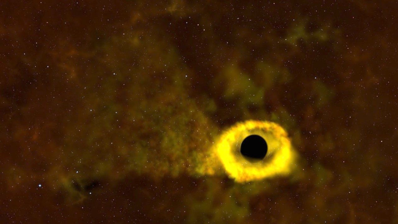 NASA's TESS probe spots black hole tearing apart a star