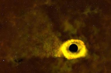 NASA's TESS probe spots black hole tearing apart a star