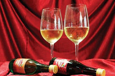 Kerala to produce fruit-based wine, low alcohol liquor