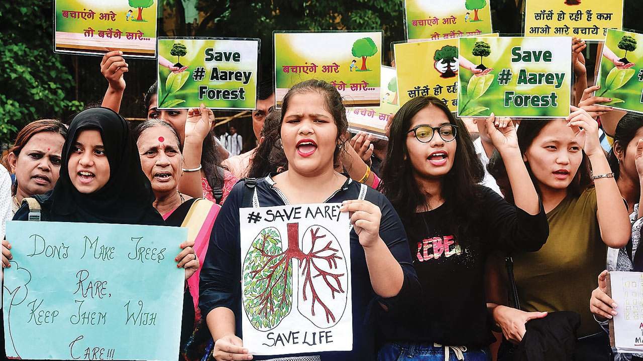 Supreme Court bench stays the cutting of Aarey trees
