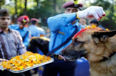 Kukur Tihar: Here’s everything about dog puja festival in Nepal on Choti Diwali