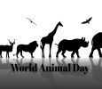 World Animal Day 2019: Date, significance and history of the day