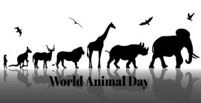 World Animal Day 2019: Date, significance and history of the day