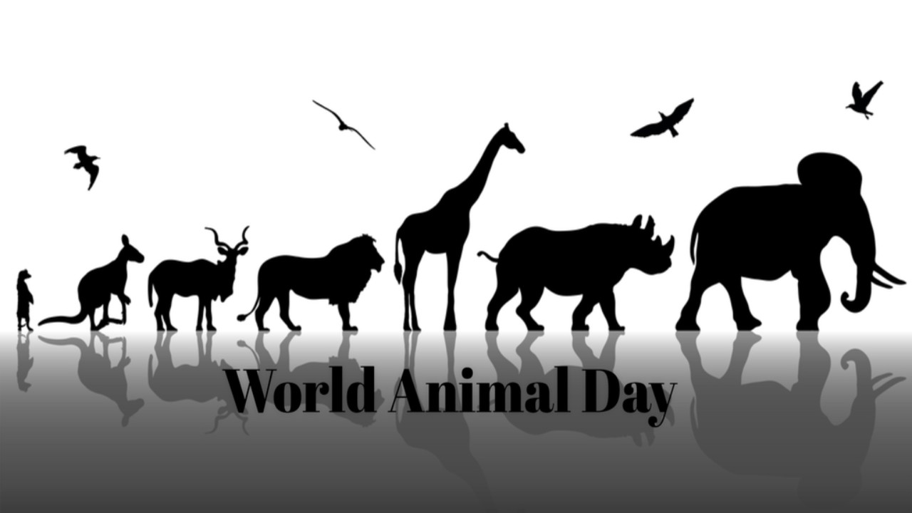 International Animal Day – October 4th - Radio Sargam