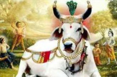 Gopashtami 2019: Date, significance, puja vidhi and shubh muhurat of the festival