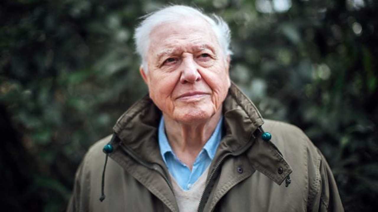 David Attenborough awarded Indira Gandhi Prize 2019 for 'Peace, Disarmament & Development'