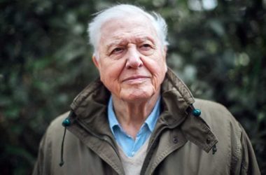 David Attenborough awarded Indira Gandhi Prize 2019 for 'Peace, Disarmament & Development'