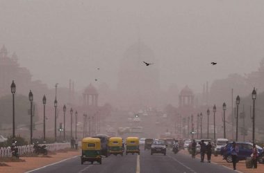 Air quality panel inspected 4,890 sites in Delhi-NCR to check air pollution
