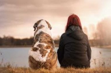 5 reasons why dogs are a human's best friend