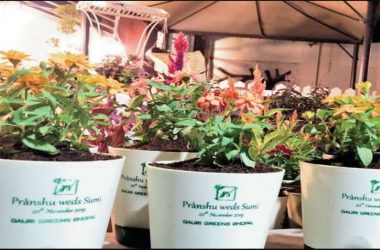 MP family goes green; replaces traditional wedding cards with 400 plants