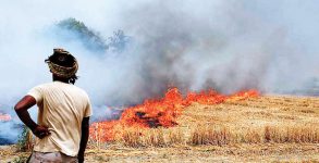 30% rise in stubble burning cases in Punjab
