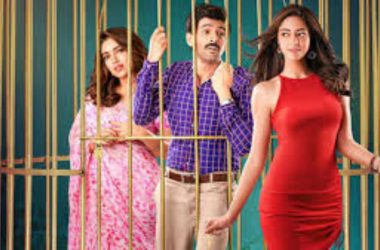 Pati Patni Aur Woh Movie Review: Aparshakti Khurana steals the show, Kartik Aaryan distant second