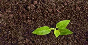 World Soil Day 2019: Theme, history, facts and significance of the day