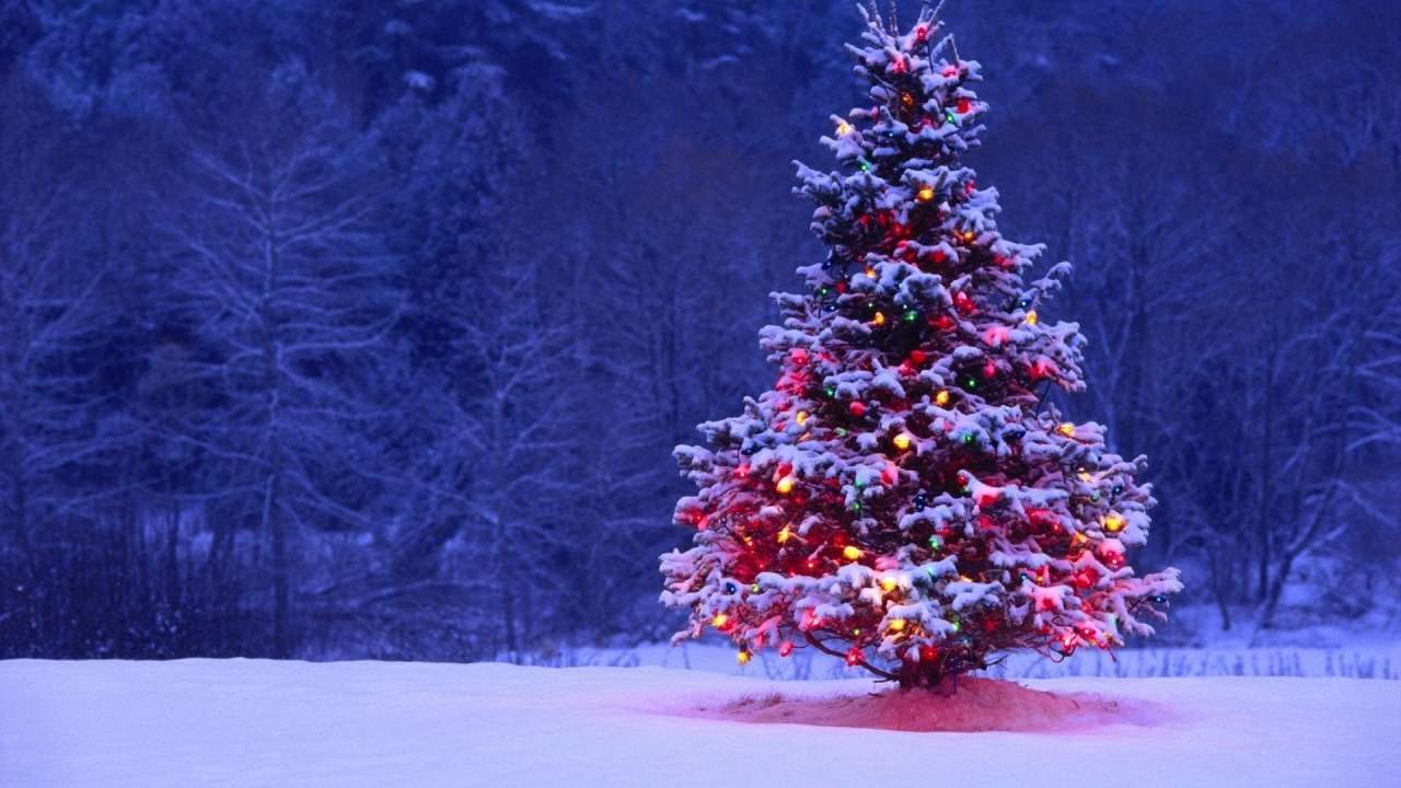 Merry Christmas 2019: Wishes, quotes and wallpapers to send on the festival