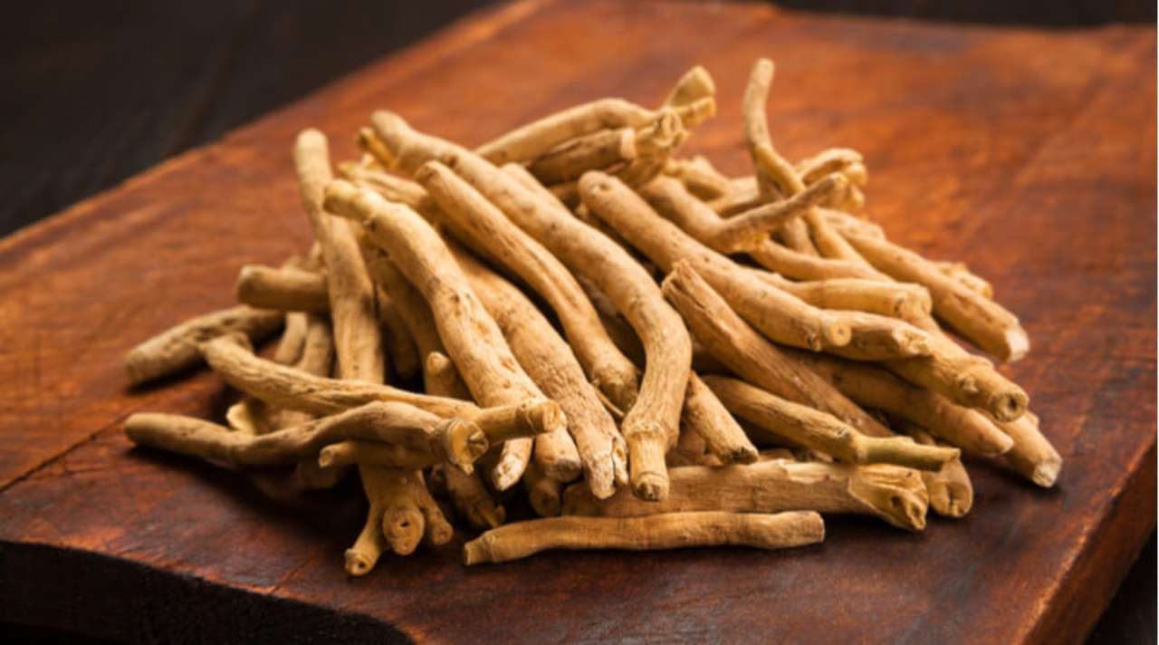 Ashwagandha 'The miracle herb' and its five known benefits