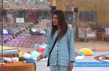 SHOCKING! Fans spot mobile phone behind THIS contestant in Bigg Boss house