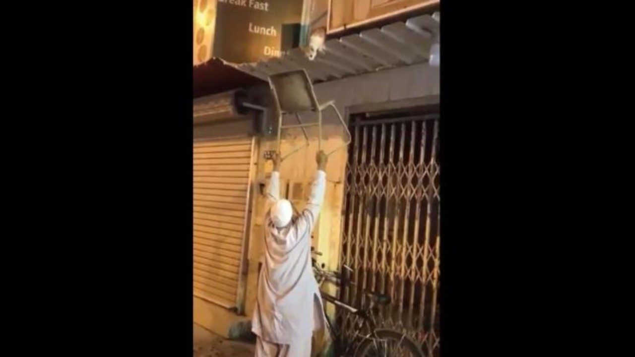 Watch: Netizens praise elderly man for rescuing stranded cat with chair