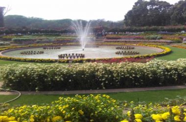 Mughal Gardens 2020: Entry details, timings, price, nearest metro & other information