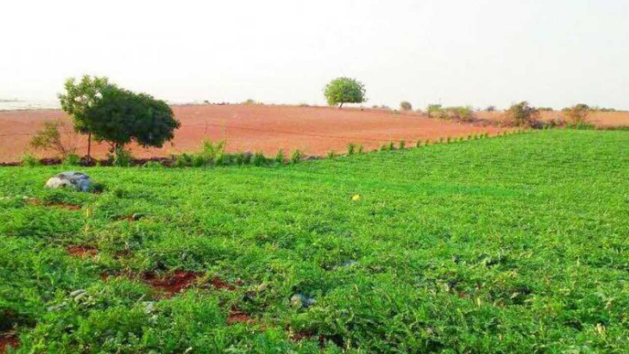 Andhra Pradesh: Poorest in state own Amaravati lands worth Rs 220 crore
