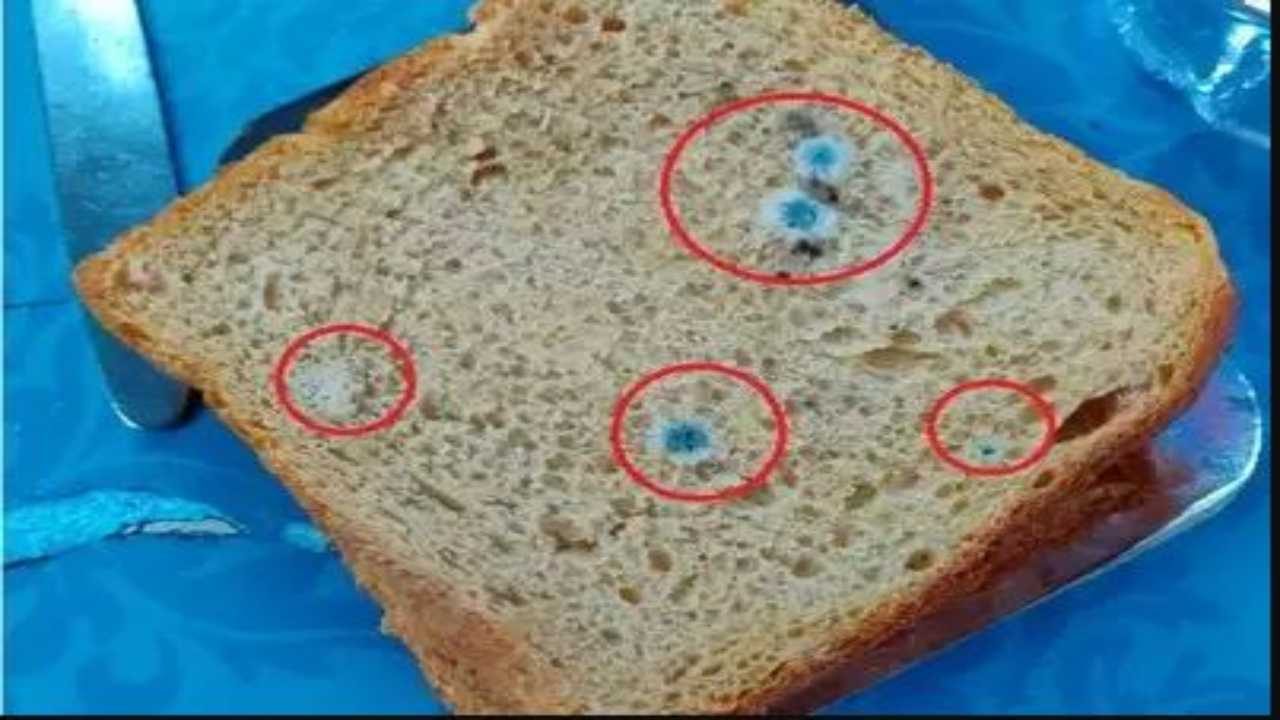 Expired bread butter served to passengers on Mumbai-Ahmedabad Shatabdi express