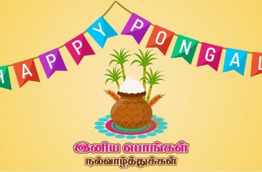 Pongal Festival 2020: History, Significance and Timings