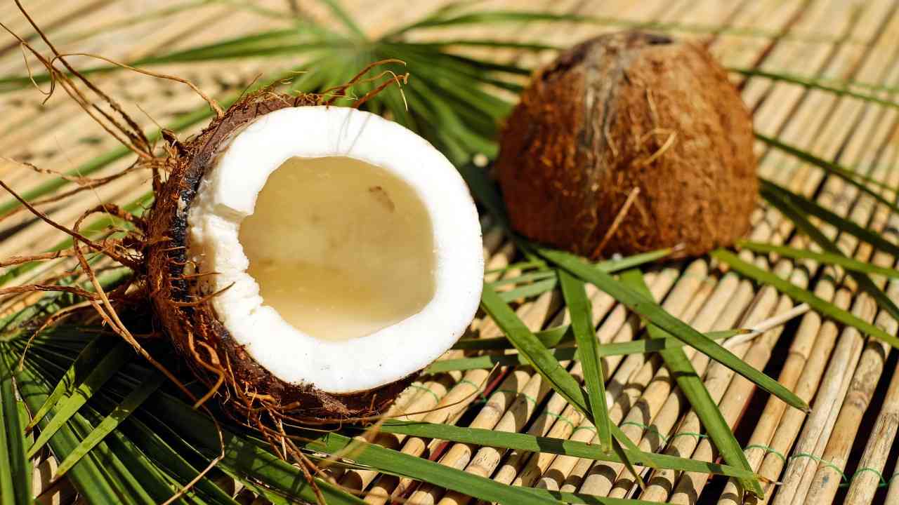 World Coconut Day: Coconut a magic staple ingredient in most households