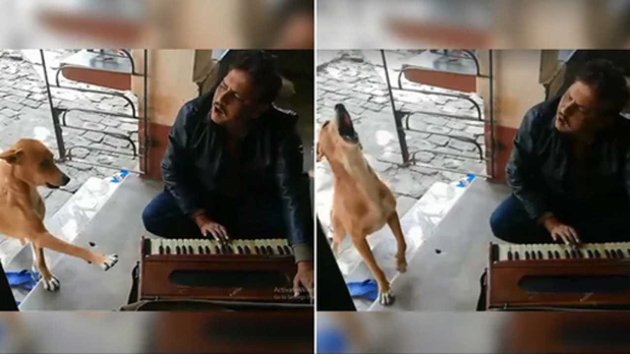 Watch: Dog singing Ranu Mondal’s song ‘Teri Meri Kahaani’ goes viral