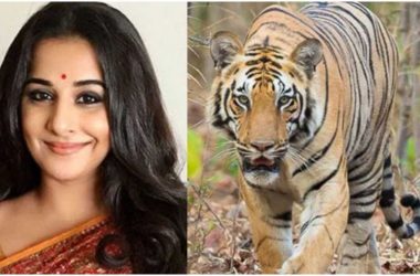 Vidya Balan roped in to play forest officer in film based on tigress Avni