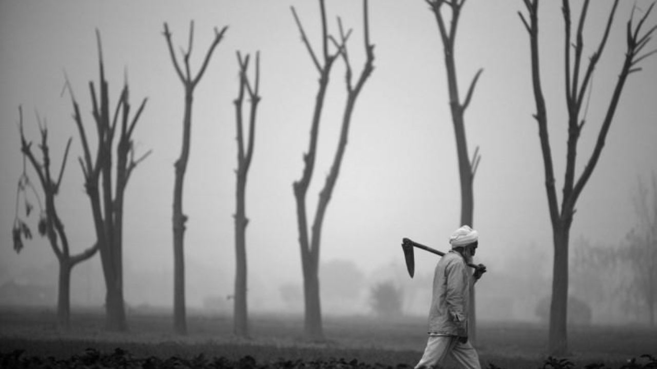 Maharashtra records 300 suicidal deaths of farmers in November