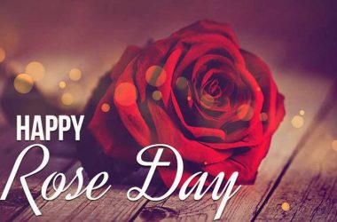 Happy Rose Day 2020: Whatsapp Status, Facebook Messages, Quotes, Photos, and Pictures