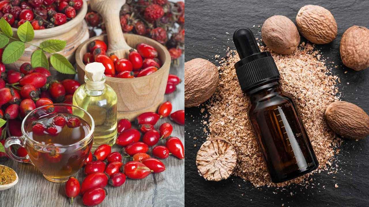 Benefits of nutmeg & rosehip essential oil